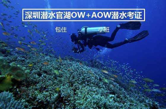 脑洞小老弟无实名认证