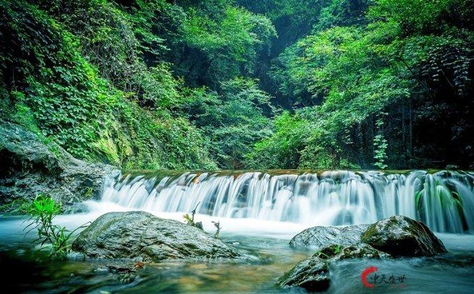 枣庄市不动产登记中心市中分中心落实遗产管理人制度,为不动产继承登记提速增效